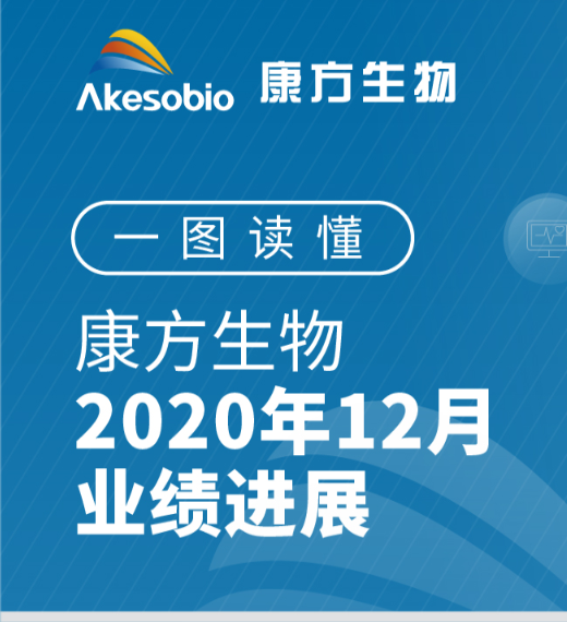 2020年12月月報 2020